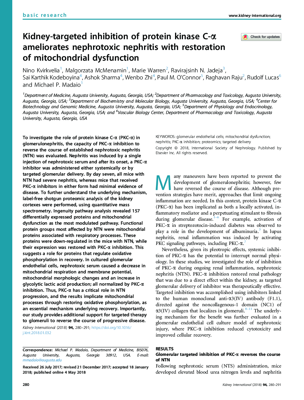 Kidney-targeted inhibition of protein kinase C-Î± ameliorates nephrotoxic nephritis with restoration of mitochondrial dysfunction