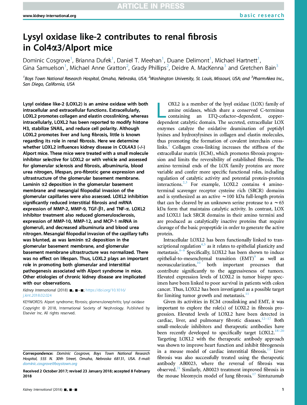 Lysyl oxidase like-2 contributes to renal fibrosis inÂ Col4Î±3/Alport mice