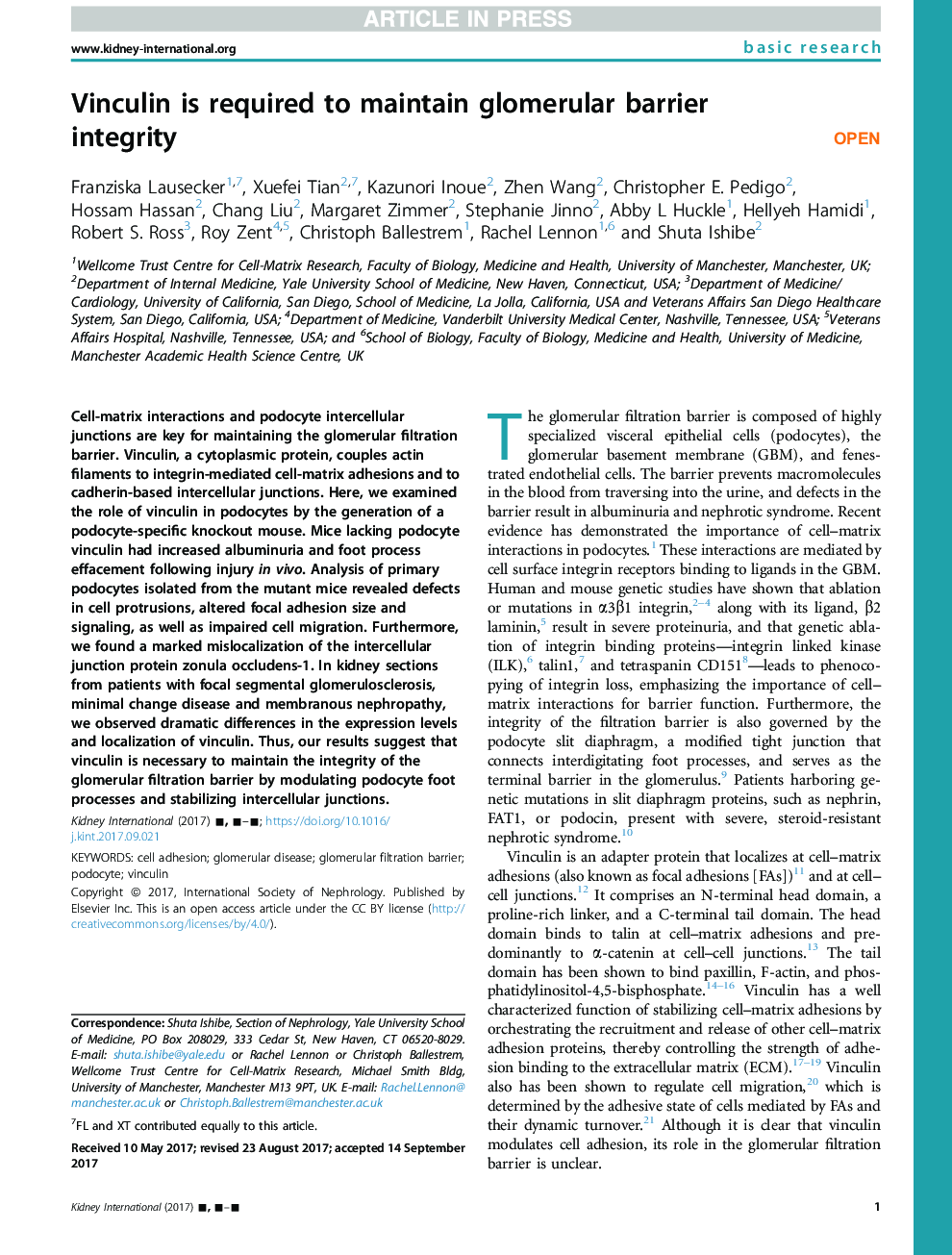 Vinculin is required to maintain glomerular barrier integrity