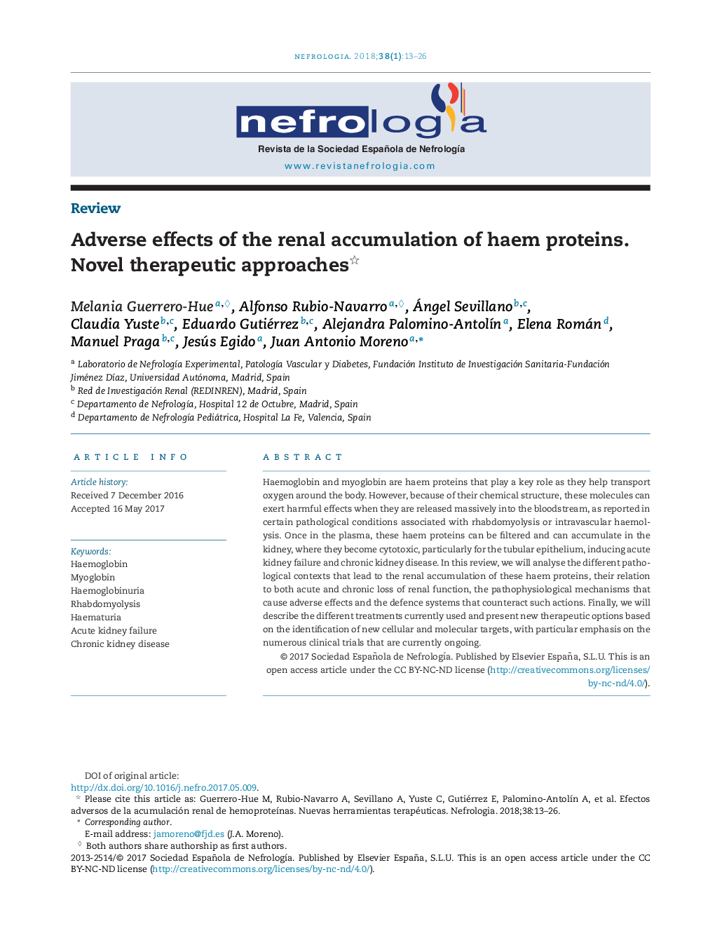 Adverse effects of the renal accumulation of haem proteins. Novel therapeutic approaches