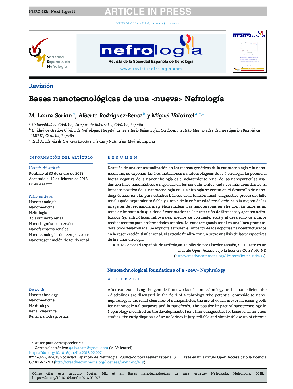 Bases nanotecnológicas de una Â«nuevaÂ» NefrologÃ­a
