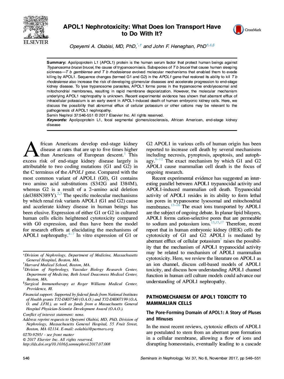 APOL1 Nephrotoxicity: What Does Ion Transport Have to Do With It?