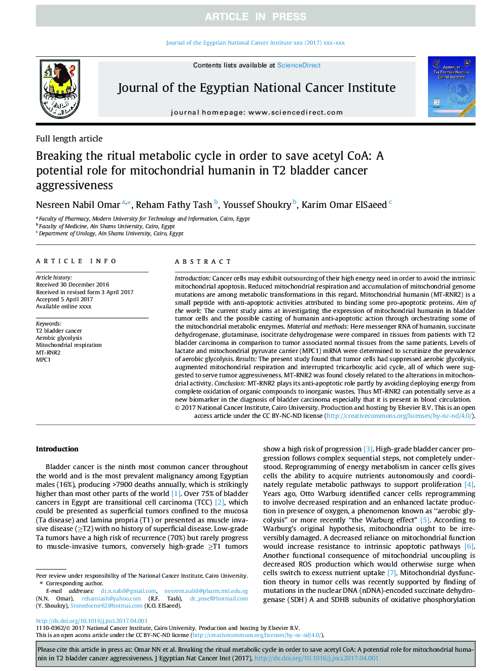 Breaking the ritual metabolic cycle in order to save acetyl CoA: A potential role for mitochondrial humanin in T2 bladder cancer aggressiveness