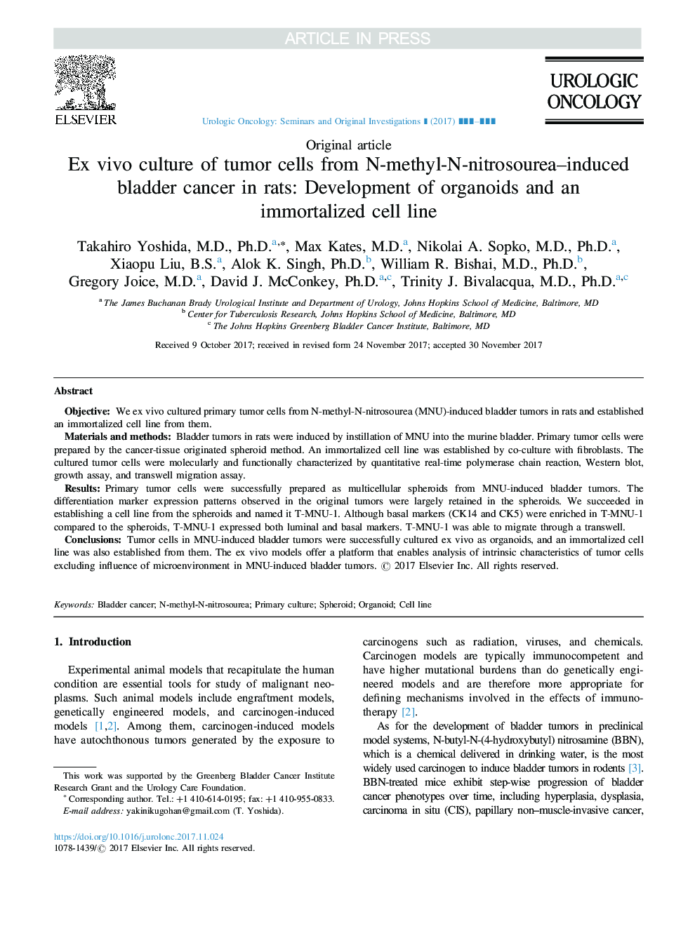 Ex vivo culture of tumor cells from N-methyl-N-nitrosourea-induced bladder cancer in rats: Development of organoids and an immortalized cell line