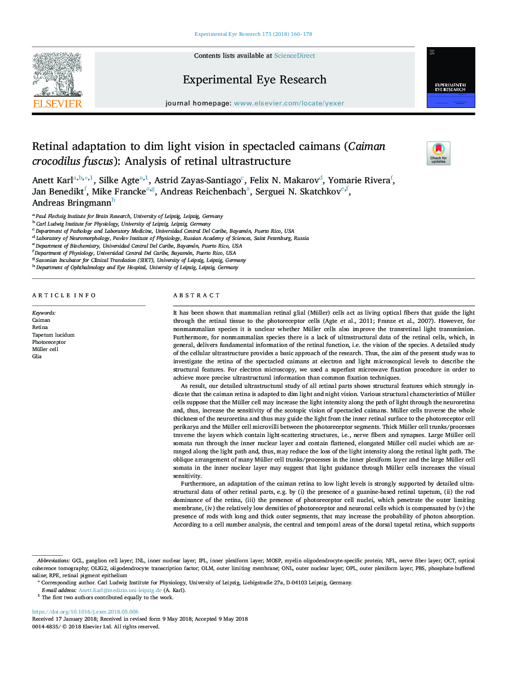 Retinal adaptation to dim light vision in spectacled caimans (Caiman crocodilus fuscus): Analysis of retinal ultrastructure