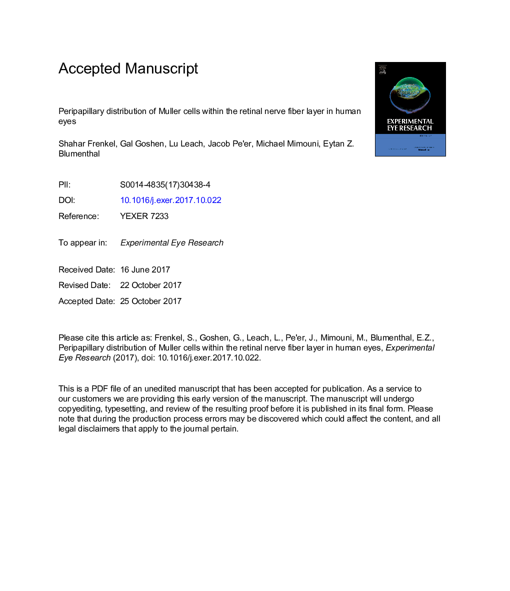 Peripapillary distribution of Muller cells within the retinal nerve fiber layer in human eyes