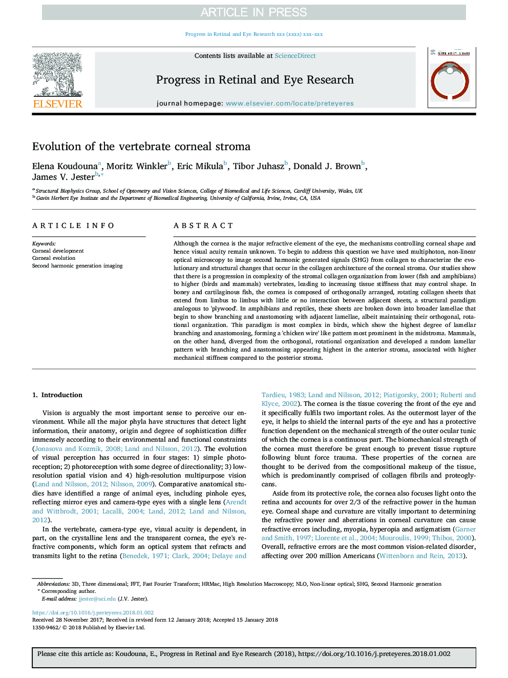 Evolution of the vertebrate corneal stroma