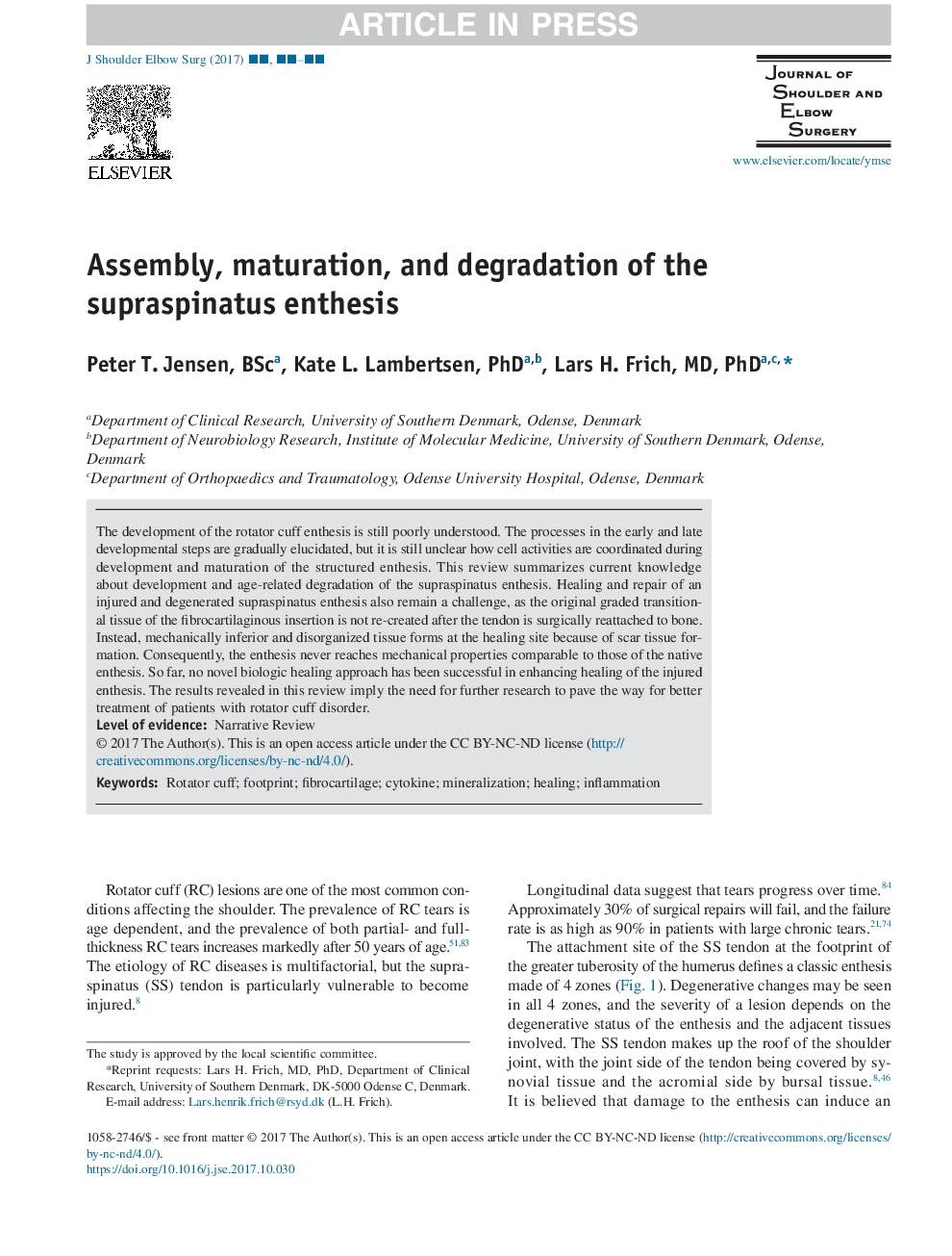 Assembly, maturation, and degradation of the supraspinatus enthesis