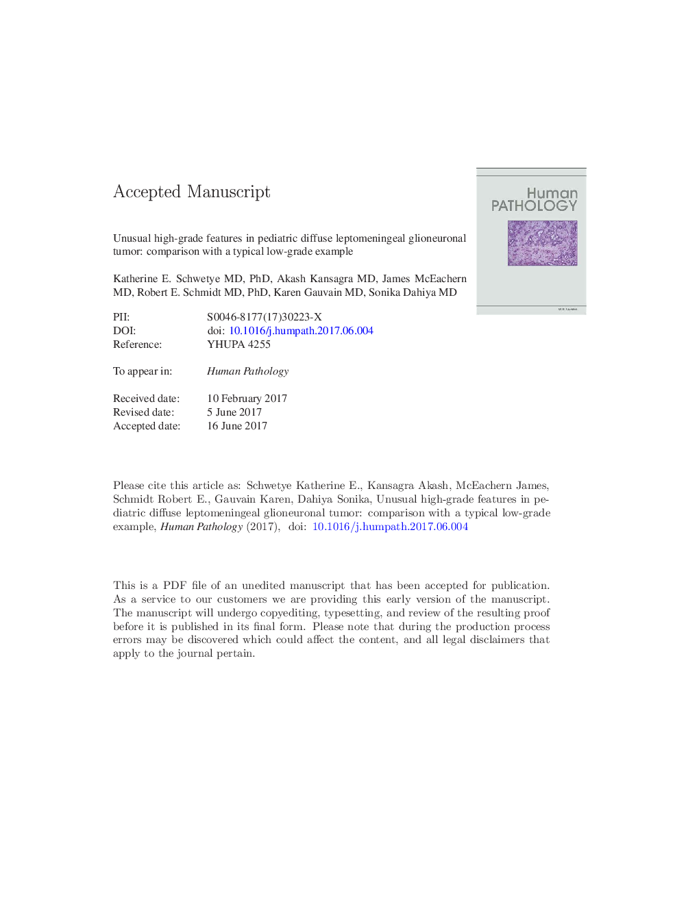 Unusual high-grade features in pediatric diffuse leptomeningeal glioneuronal tumor: comparison with a typical low-grade example