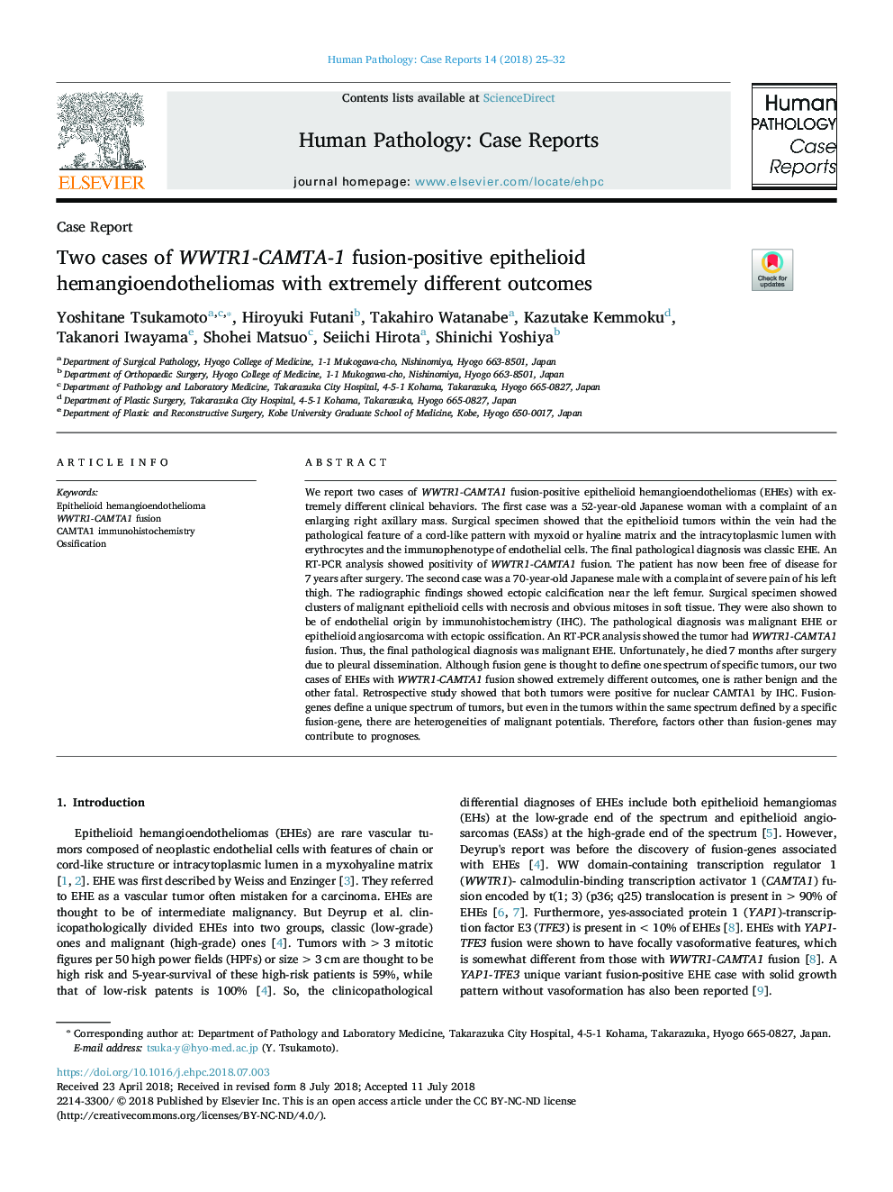 Two cases of WWTR1-CAMTA-1 fusion-positive epithelioid hemangioendotheliomas with extremely different outcomes