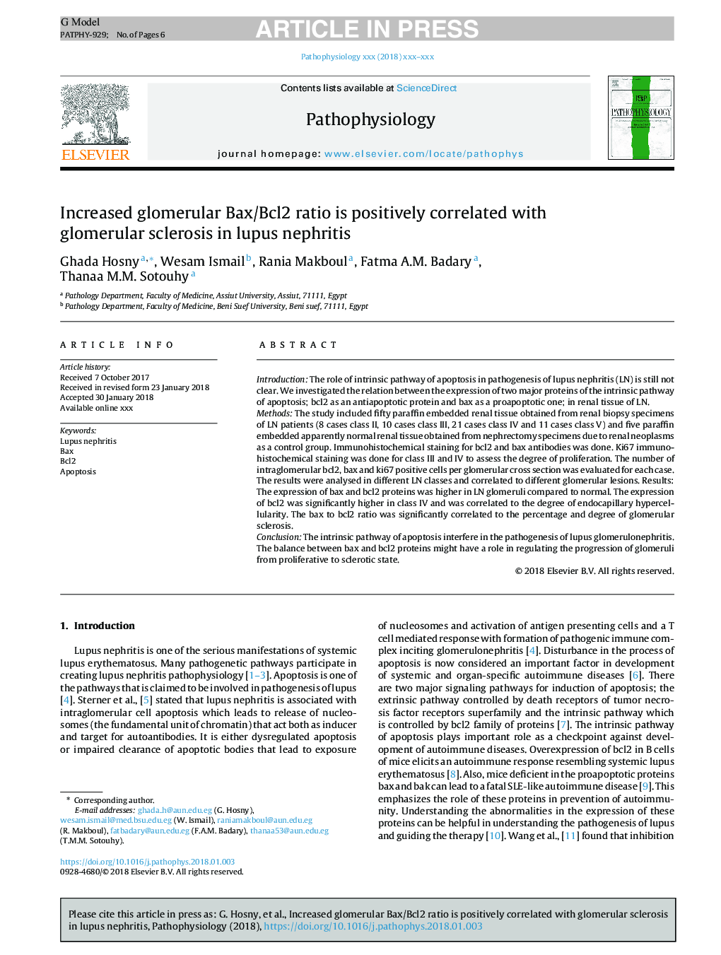 Increased glomerular Bax/Bcl2 ratio is positively correlated with glomerular sclerosis in lupus nephritis