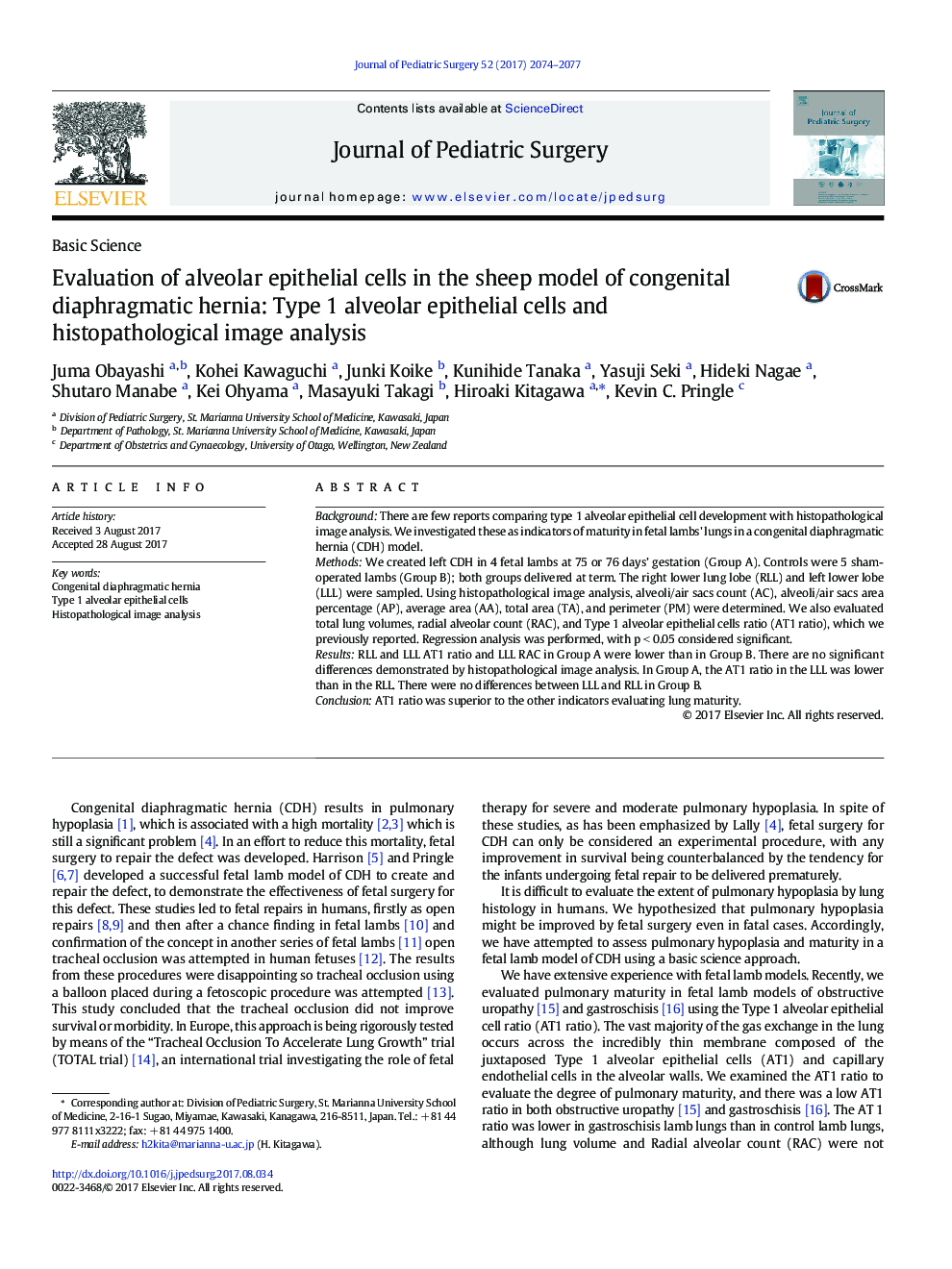 Evaluation of alveolar epithelial cells in the sheep model of congenital diaphragmatic hernia: Type 1 alveolar epithelial cells and histopathological image analysis