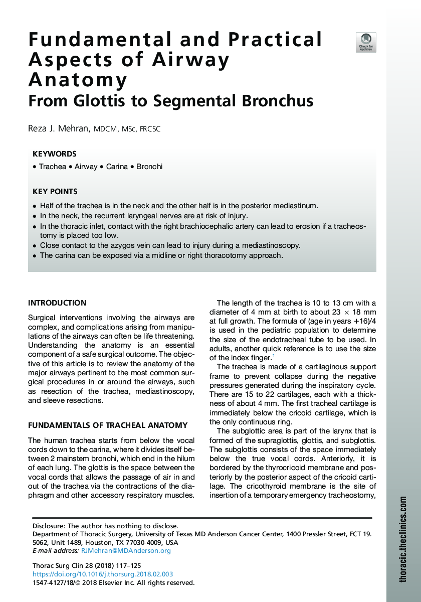 Fundamental and Practical Aspects of Airway Anatomy