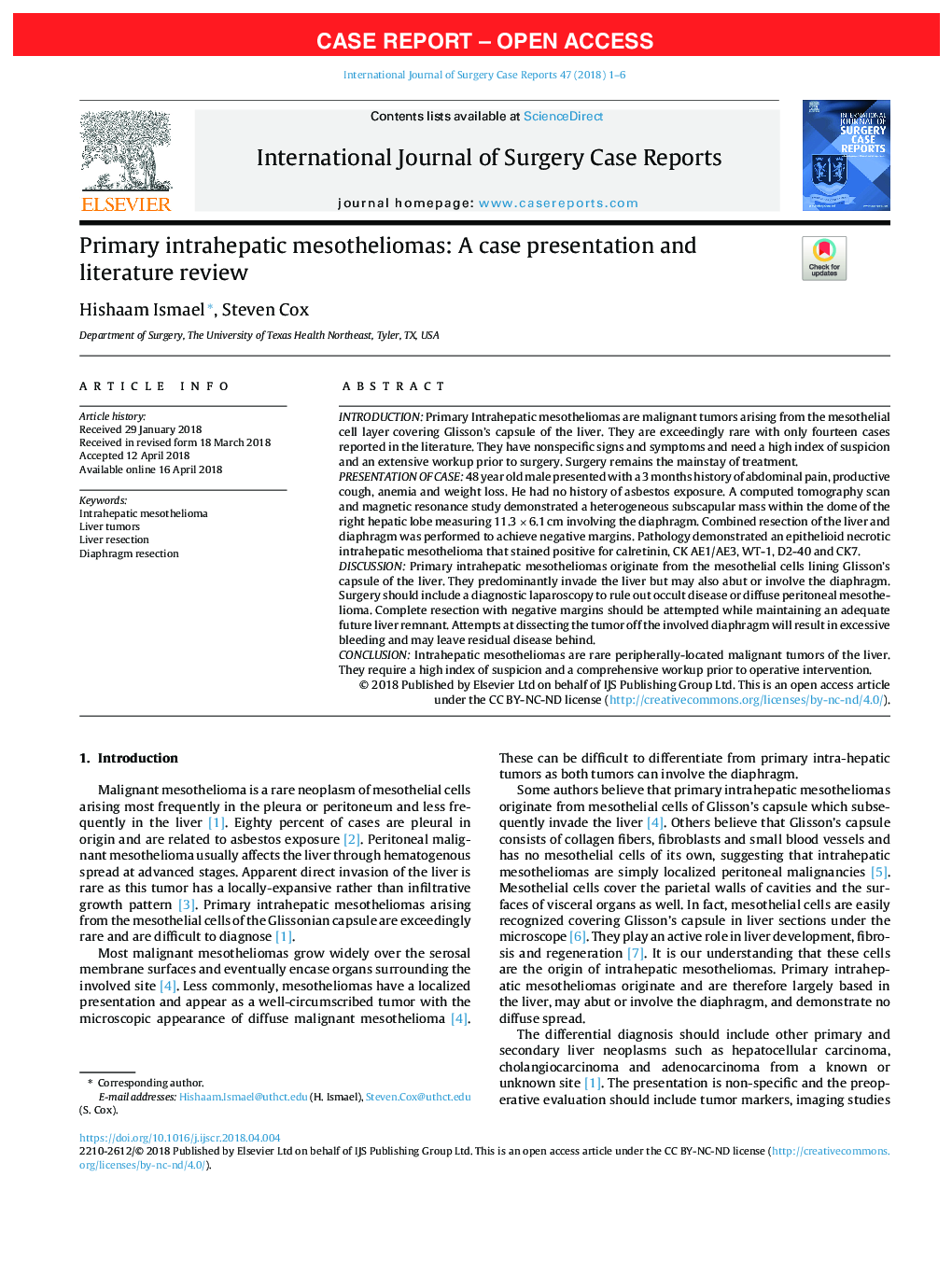 Primary intrahepatic mesotheliomas: A case presentation and literature review