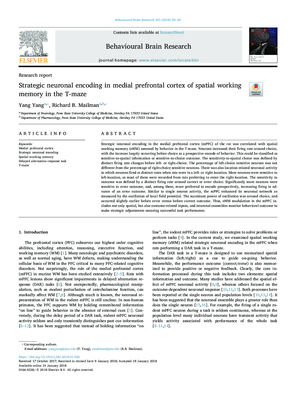 Strategic neuronal encoding in medial prefrontal cortex of spatial working memory in the T-maze