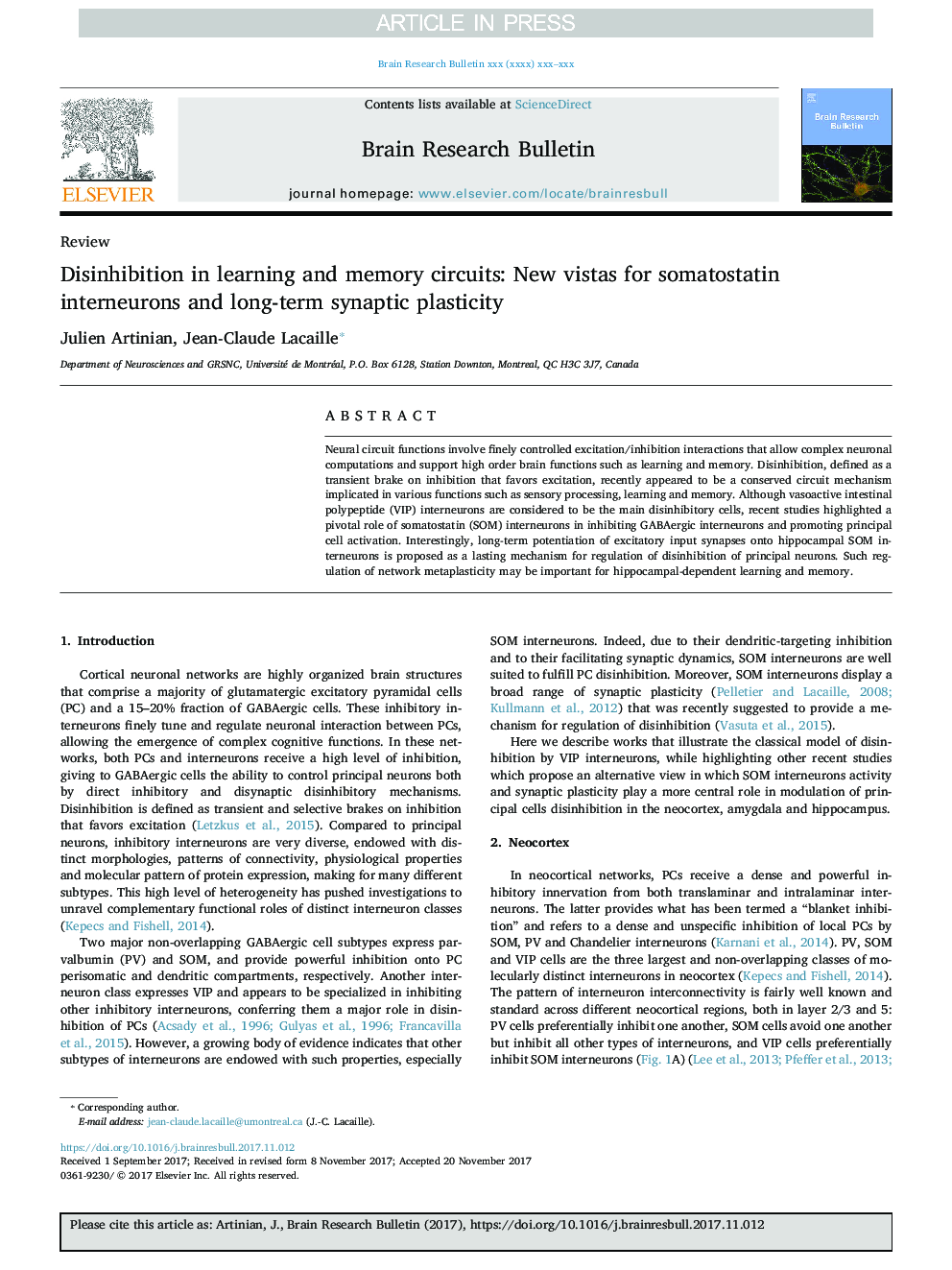 Disinhibition in learning and memory circuits: New vistas for somatostatin interneurons and long-term synaptic plasticity