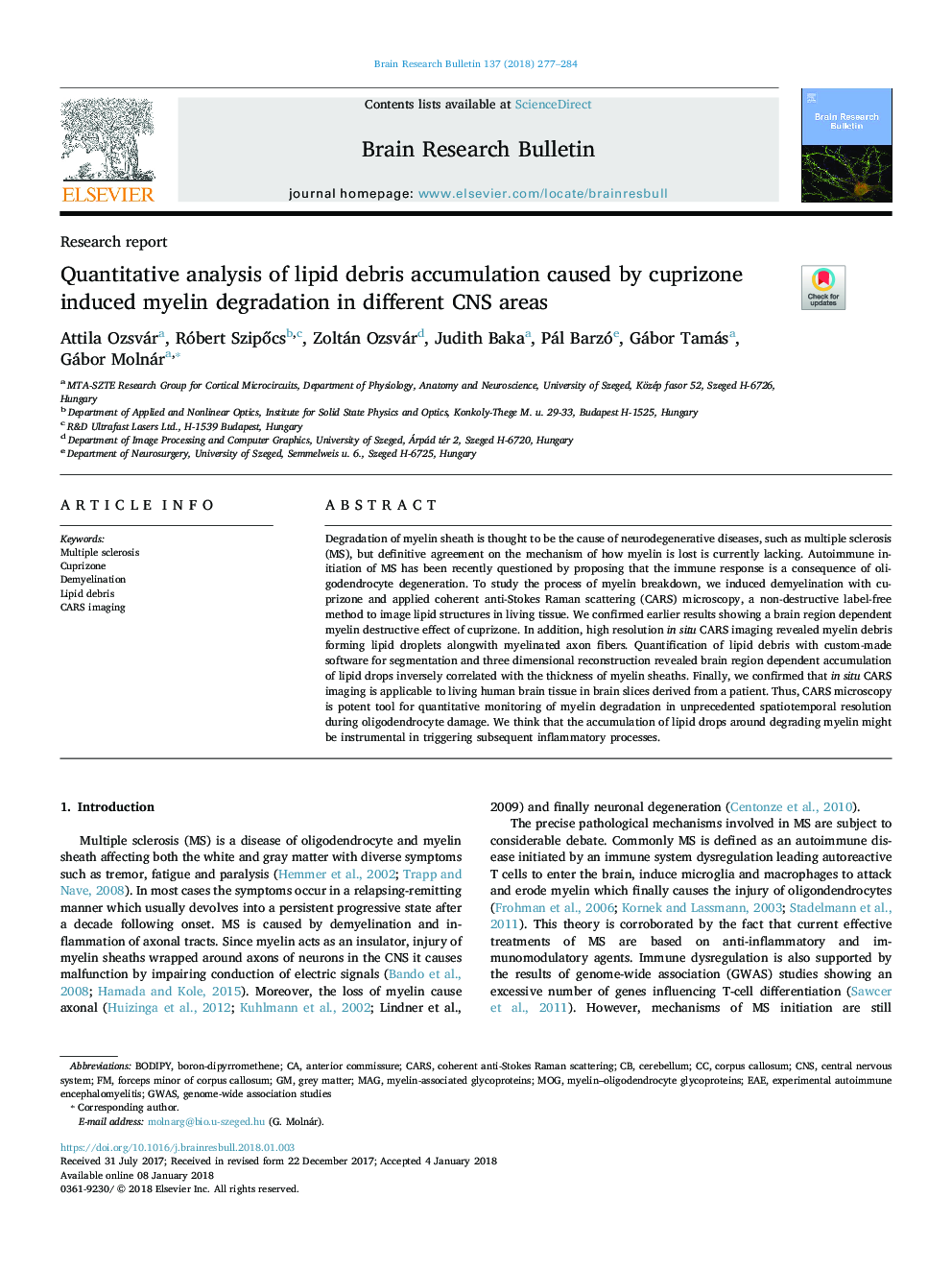 Quantitative analysis of lipid debris accumulation caused by cuprizone induced myelin degradation in different CNS areas