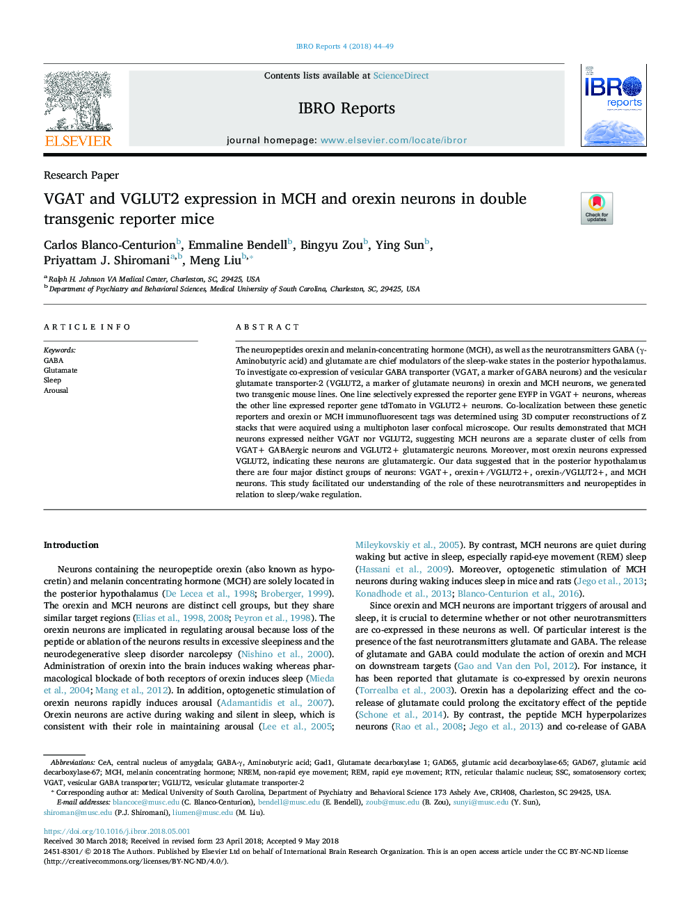 VGAT and VGLUT2 expression in MCH and orexin neurons in double transgenic reporter mice