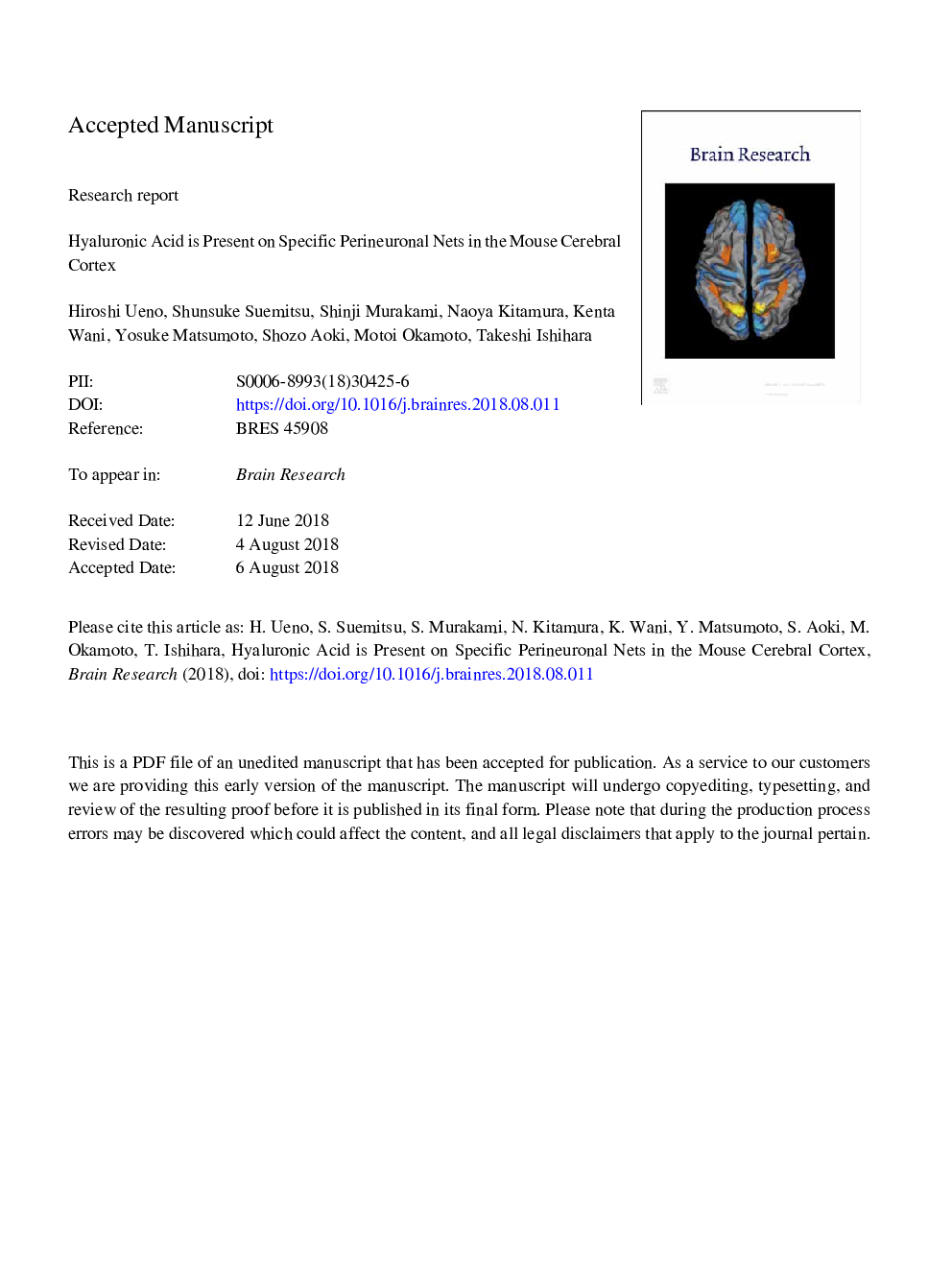 اسید هیالورونیک در شبکه های خاص پریینورونال در قشر مغز ماوس وجود دارد 