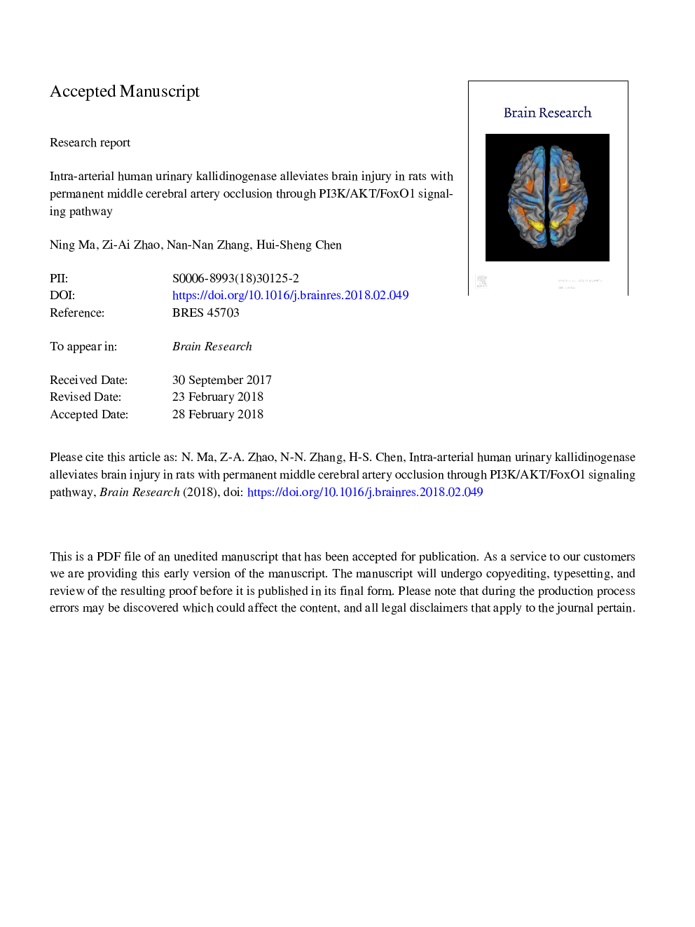 Intra-arterial human urinary kallidinogenase alleviates brain injury in rats with permanent middle cerebral artery occlusion through PI3K/AKT/FoxO1 signaling pathway