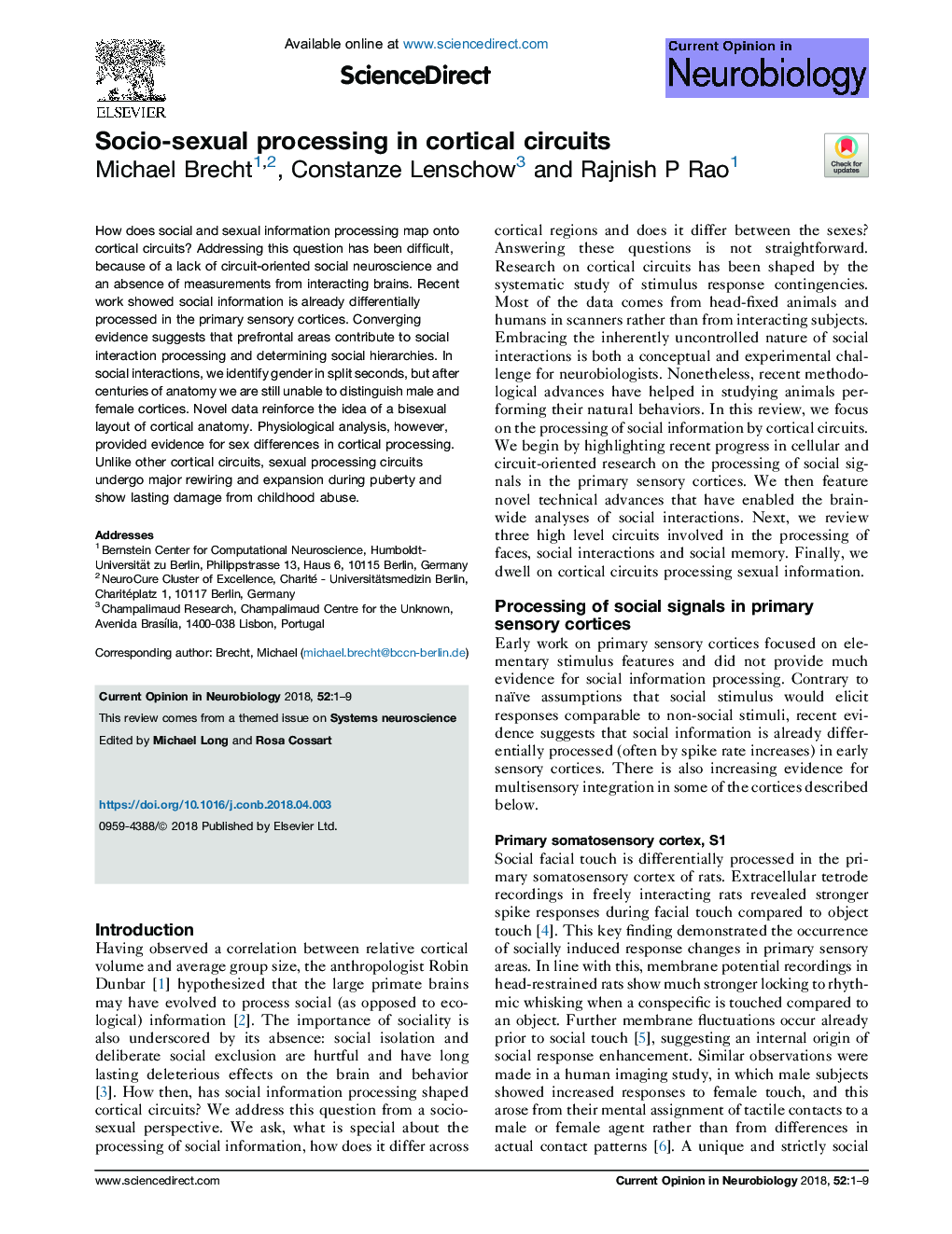 Socio-sexual processing in cortical circuits