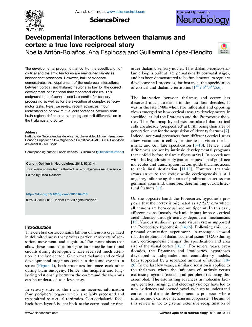 Developmental interactions between thalamus and cortex: a true love reciprocal story