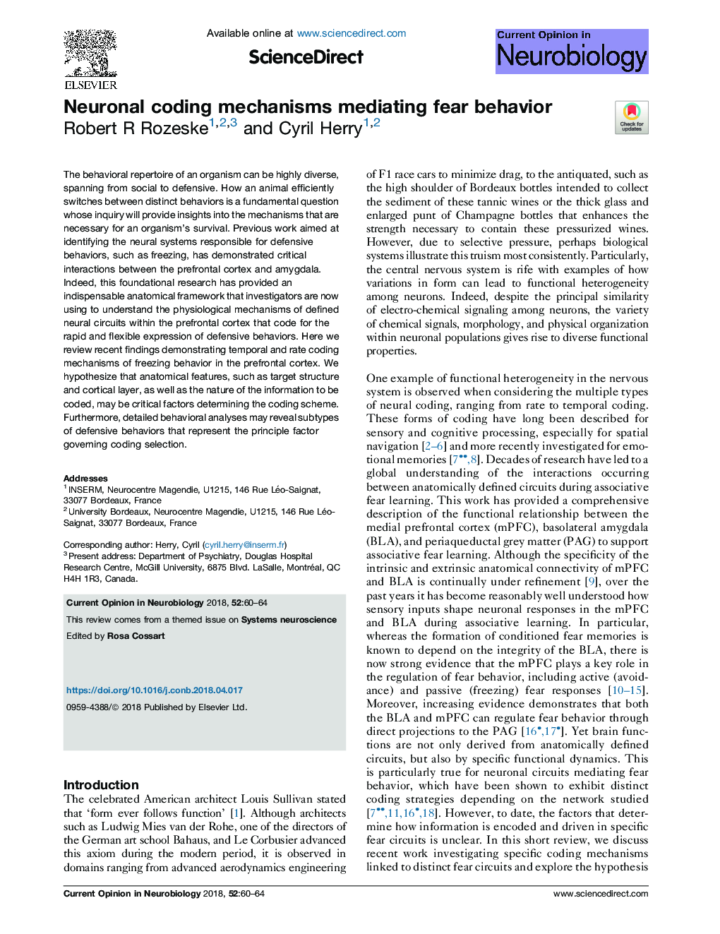 Neuronal coding mechanisms mediating fear behavior