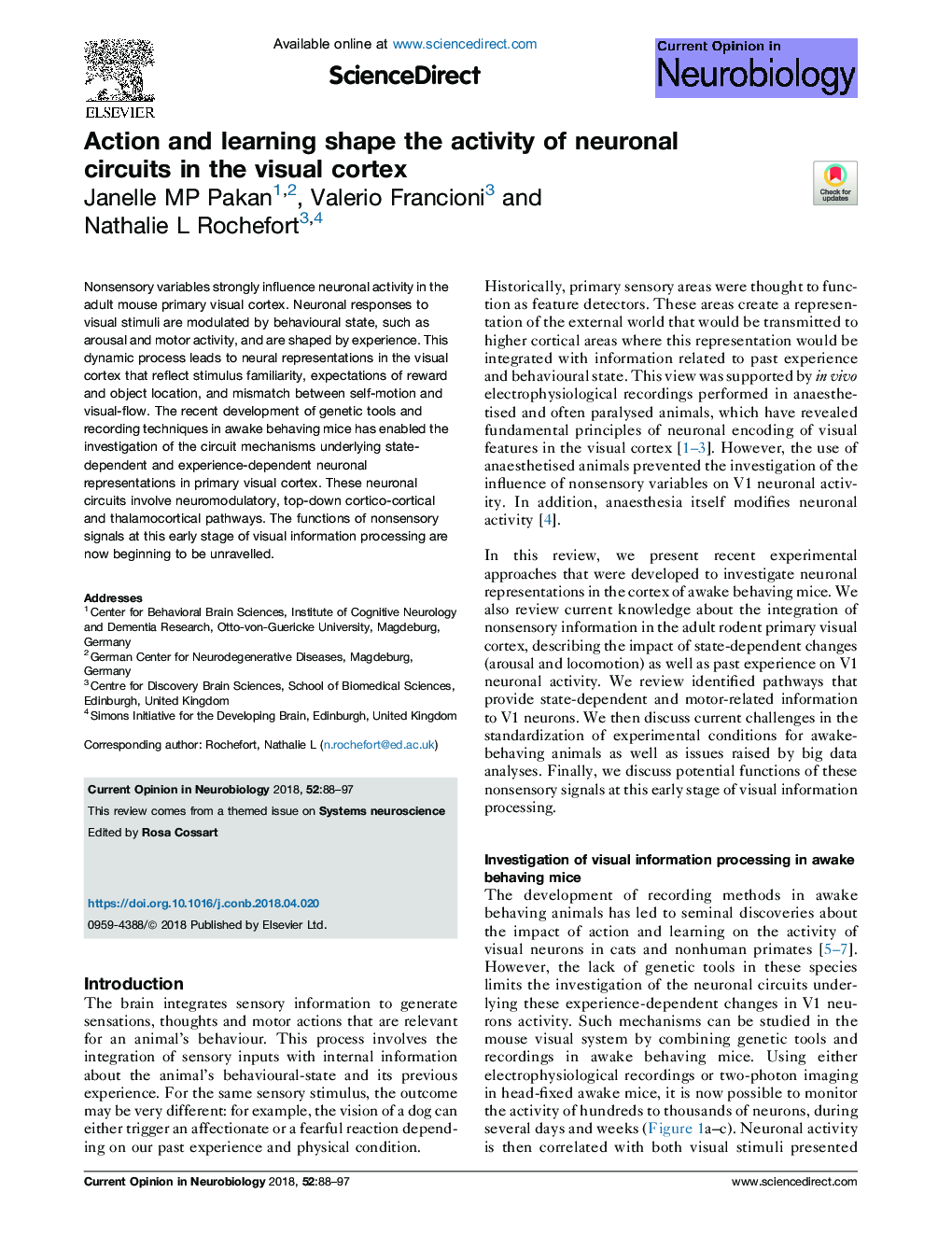 Action and learning shape the activity of neuronal circuits in the visual cortex