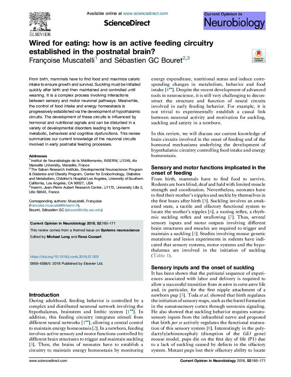 Wired for eating: how is an active feeding circuitry established in the postnatal brain?