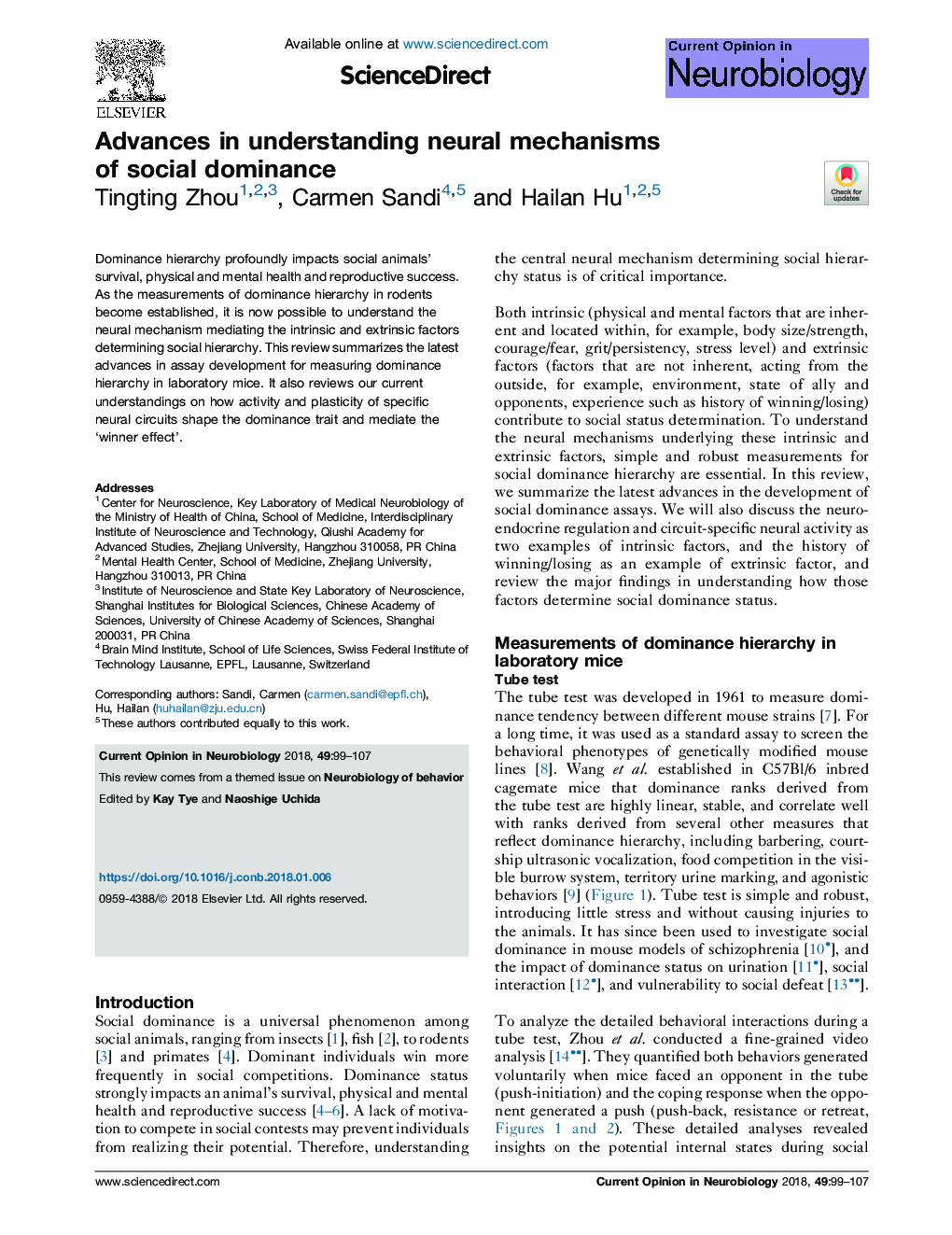 Advances in understanding neural mechanisms of social dominance