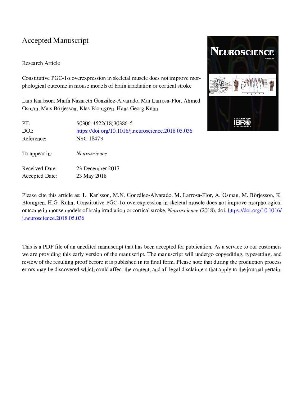 Constitutive PGC-1Î± Overexpression in Skeletal Muscle Does Not Improve Morphological Outcome in Mouse Models of Brain Irradiation or Cortical Stroke