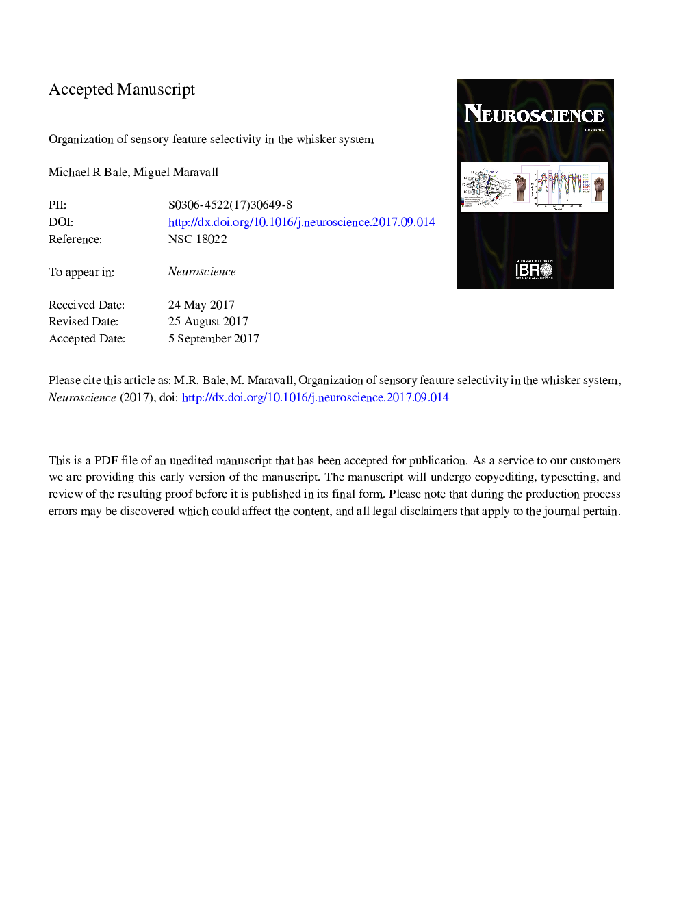 Organization of Sensory Feature Selectivity in the Whisker System