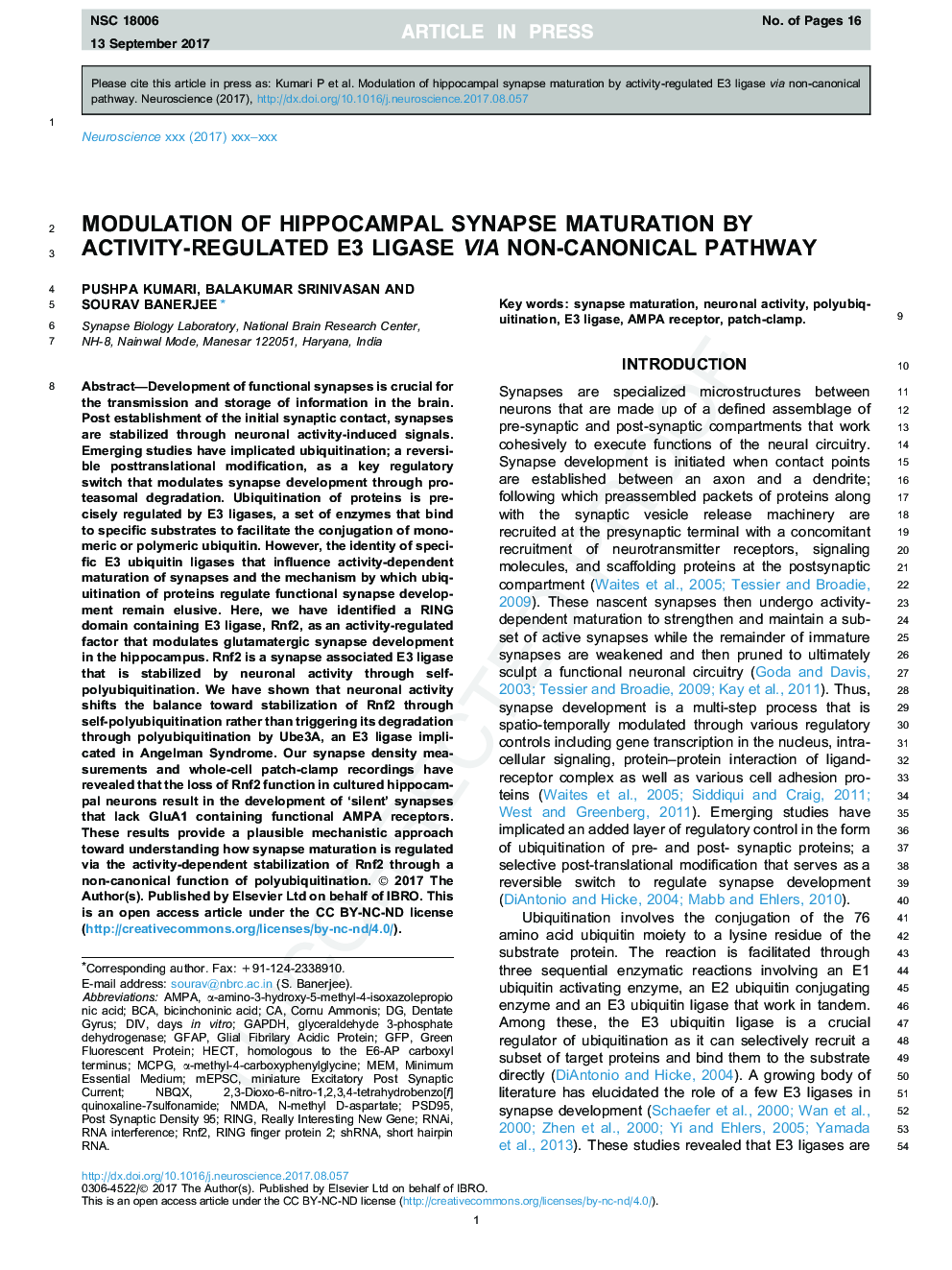 Modulation of hippocampal synapse maturation by activity-regulated E3 ligase via non-canonical pathway