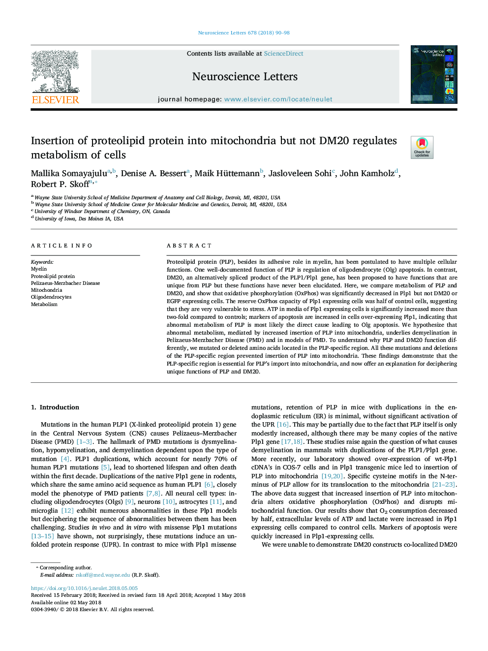 Insertion of proteolipid protein into mitochondria but not DM20 regulates metabolism of cells