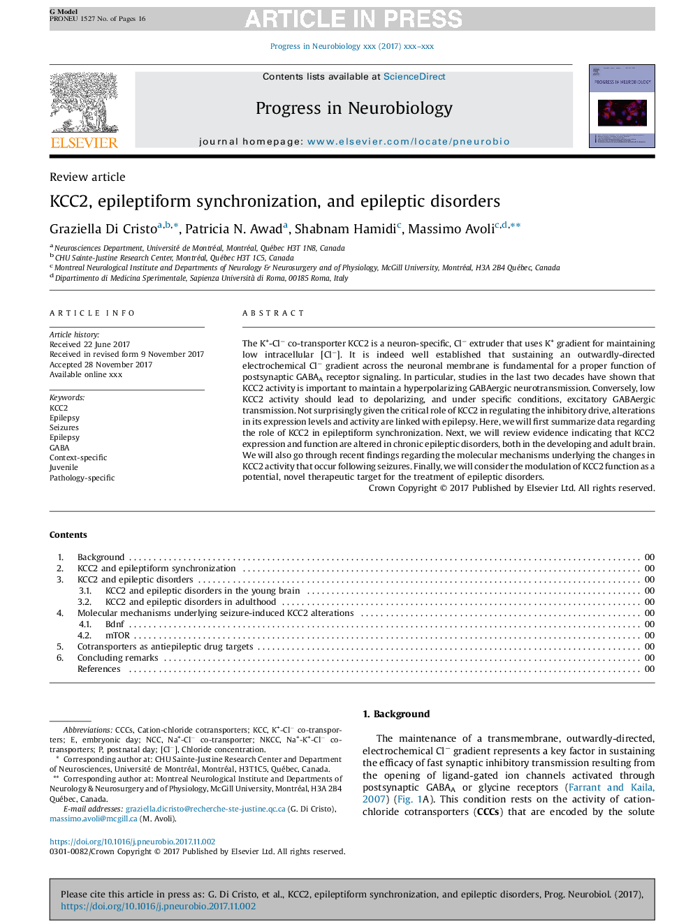 KCC2, epileptiform synchronization, and epileptic disorders