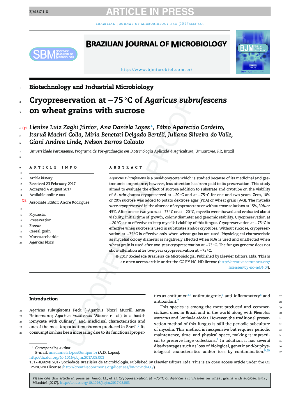 Cryopreservation at â75Â Â°C of Agaricus subrufescens on wheat grains with sucrose