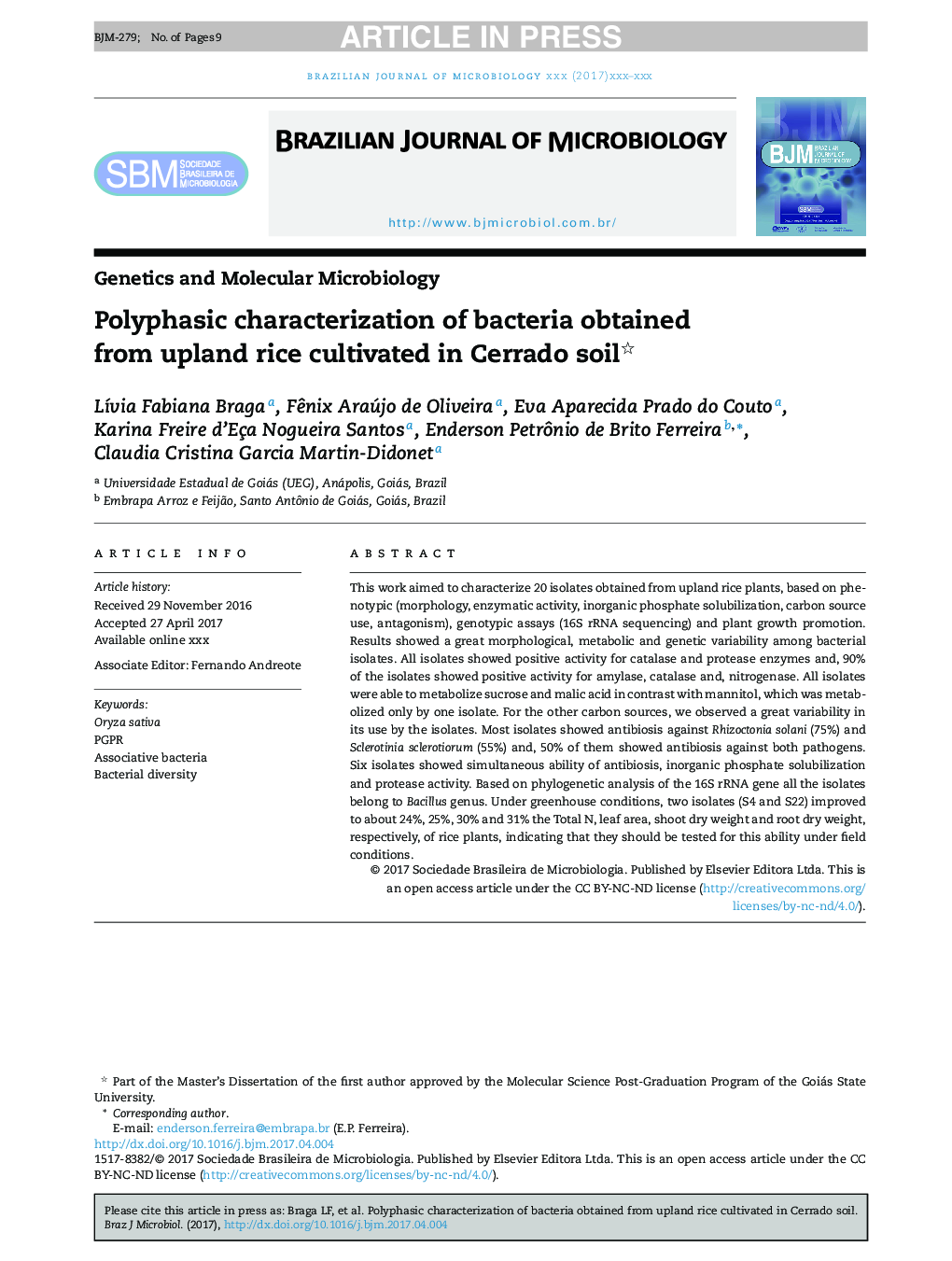 Polyphasic characterization of bacteria obtained from upland rice cultivated in Cerrado soil