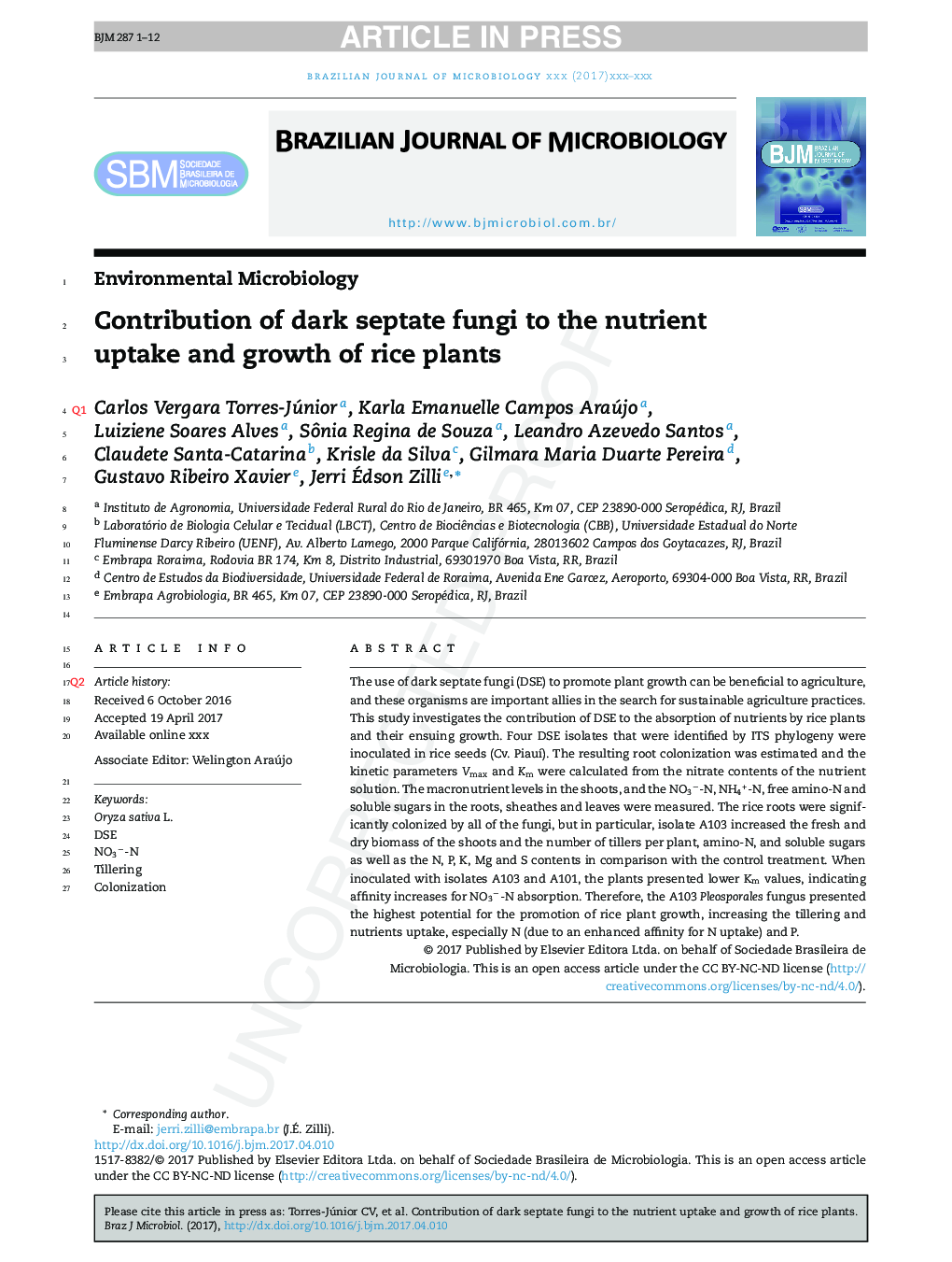 Contribution of dark septate fungi to the nutrient uptake and growth of rice plants