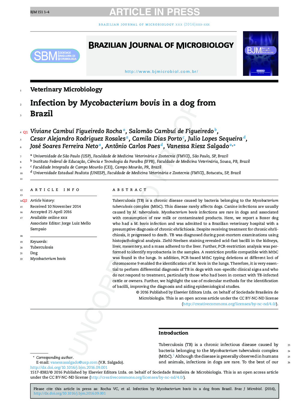 Infection by Mycobacterium bovis in a dog from Brazil