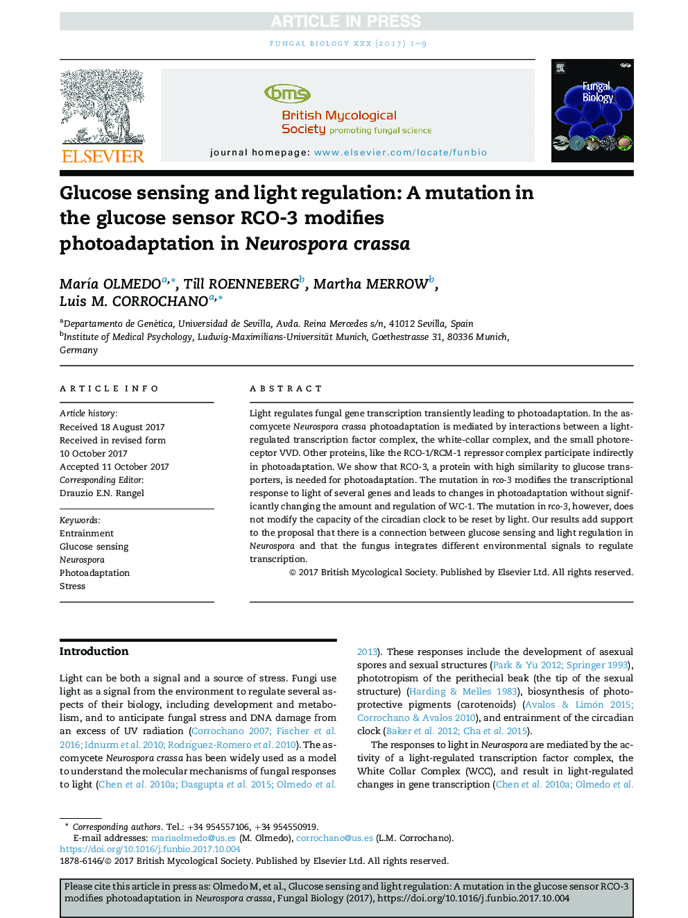 Glucose sensing and light regulation: A mutation in the glucose sensor RCO-3 modifies photoadaptation in Neurospora crassa