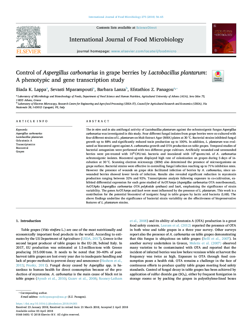 Control of Aspergillus carbonarius in grape berries by Lactobacillus plantarum: A phenotypic and gene transcription study