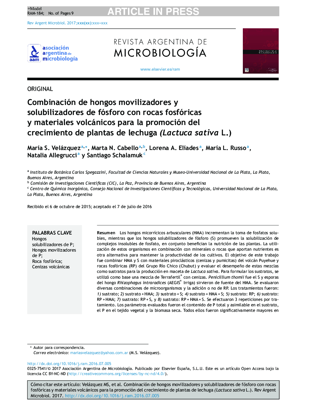 Combinación de hongos movilizadores y solubilizadores de fósforo con rocas fosfóricas y materiales volcánicos para la promoción del crecimiento de plantas de lechuga (Lactuca sativa L.)