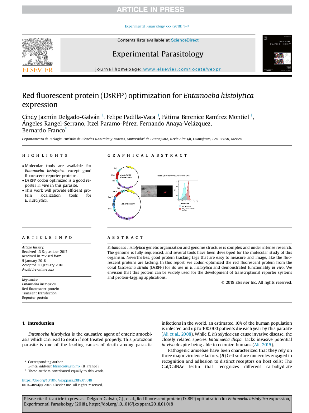 Red fluorescent protein (DsRFP) optimization for Entamoeba histolytica expression