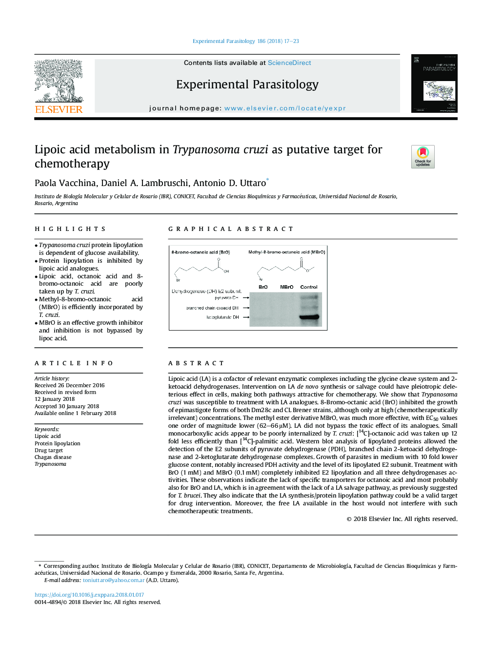 Lipoic acid metabolism in Trypanosoma cruzi as putative target for chemotherapy