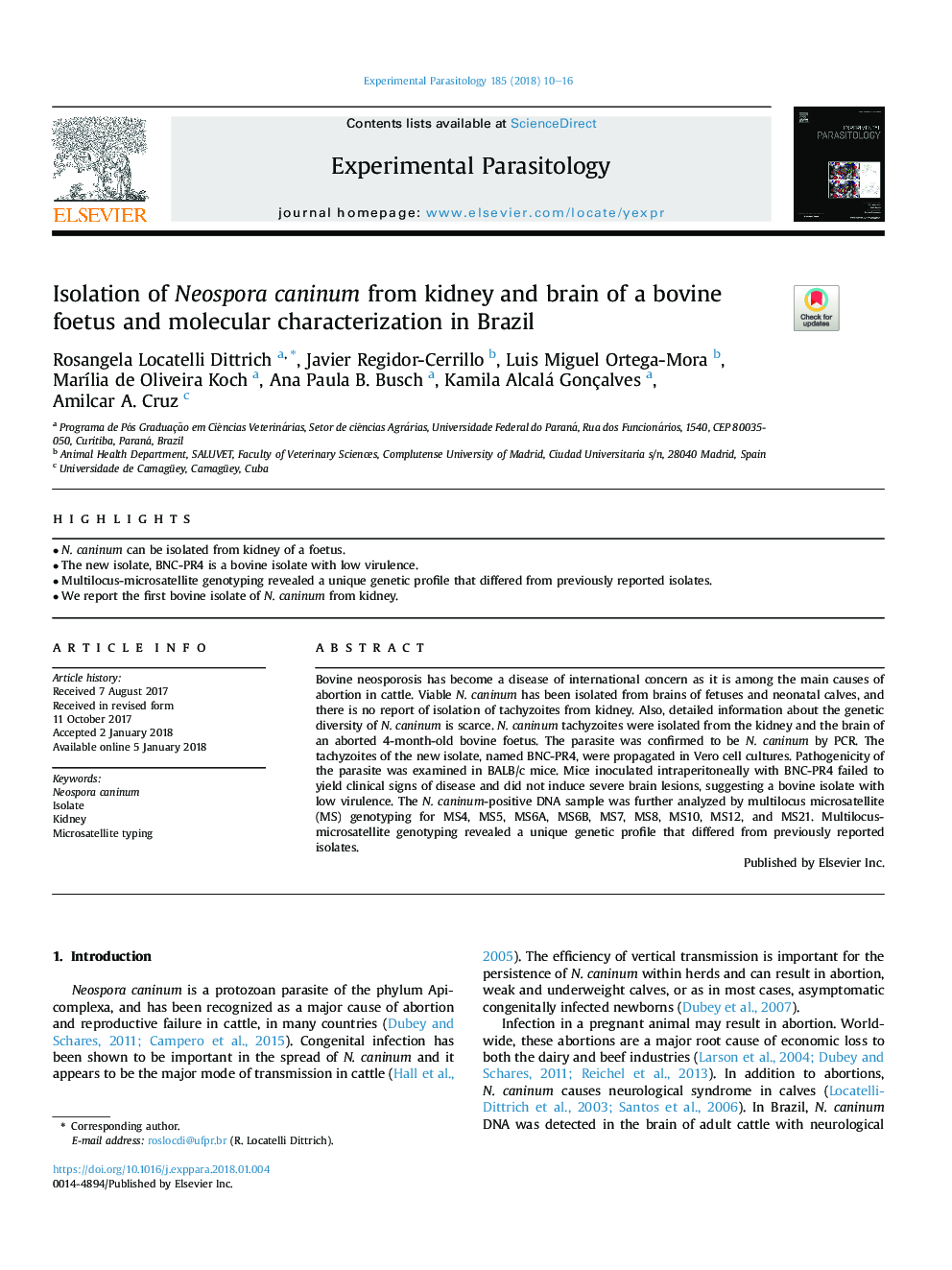 Isolation of Neospora caninum from kidney and brain of a bovine foetus and molecular characterization in Brazil