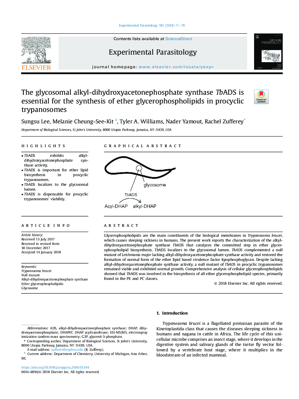 The glycosomal alkyl-dihydroxyacetonephosphate synthase TbADS is essential for the synthesis of ether glycerophospholipids in procyclic trypanosomes