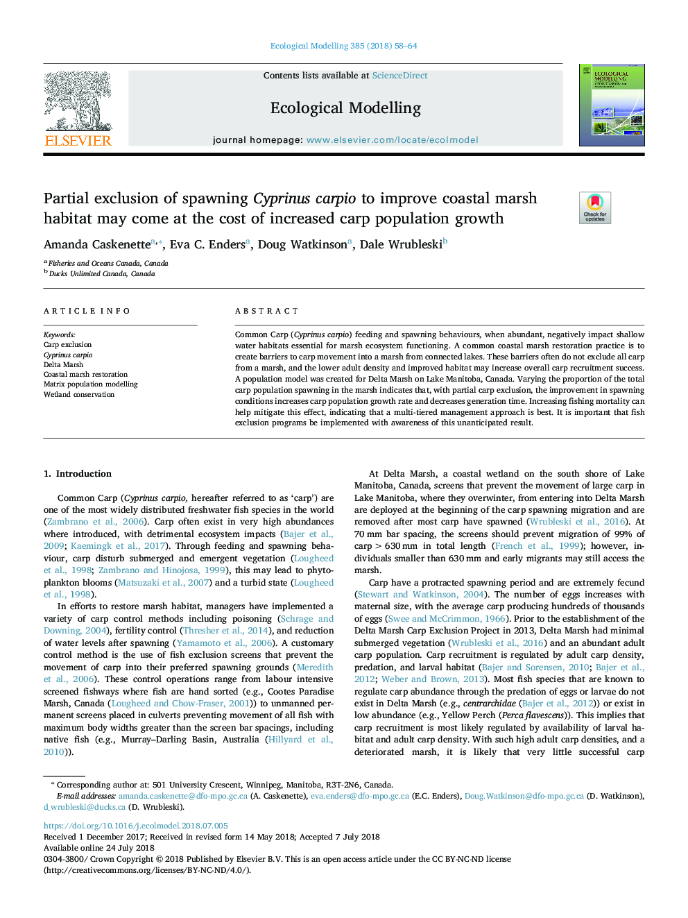 Partial exclusion of spawning Cyprinus carpio to improve coastal marsh habitat may come at the cost of increased carp population growth