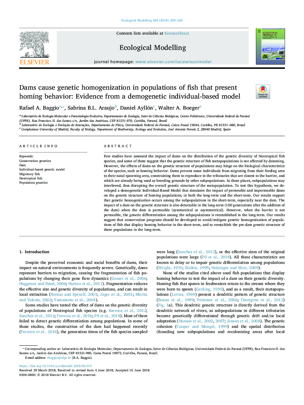 Dams cause genetic homogenization in populations of fish that present homing behavior: Evidence from a demogenetic individual-based model