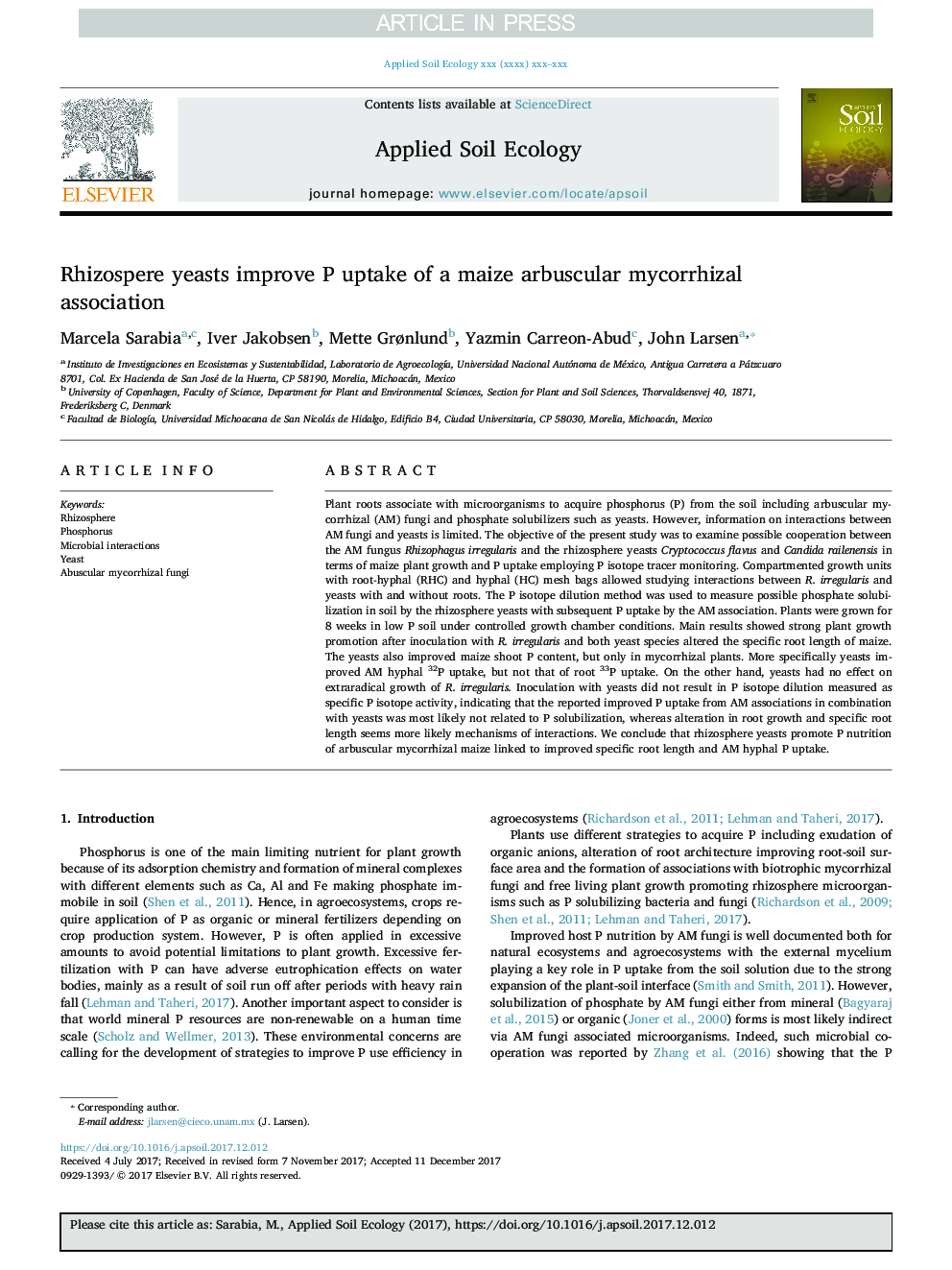 Rhizosphere yeasts improve P uptake of a maize arbuscular mycorrhizal association