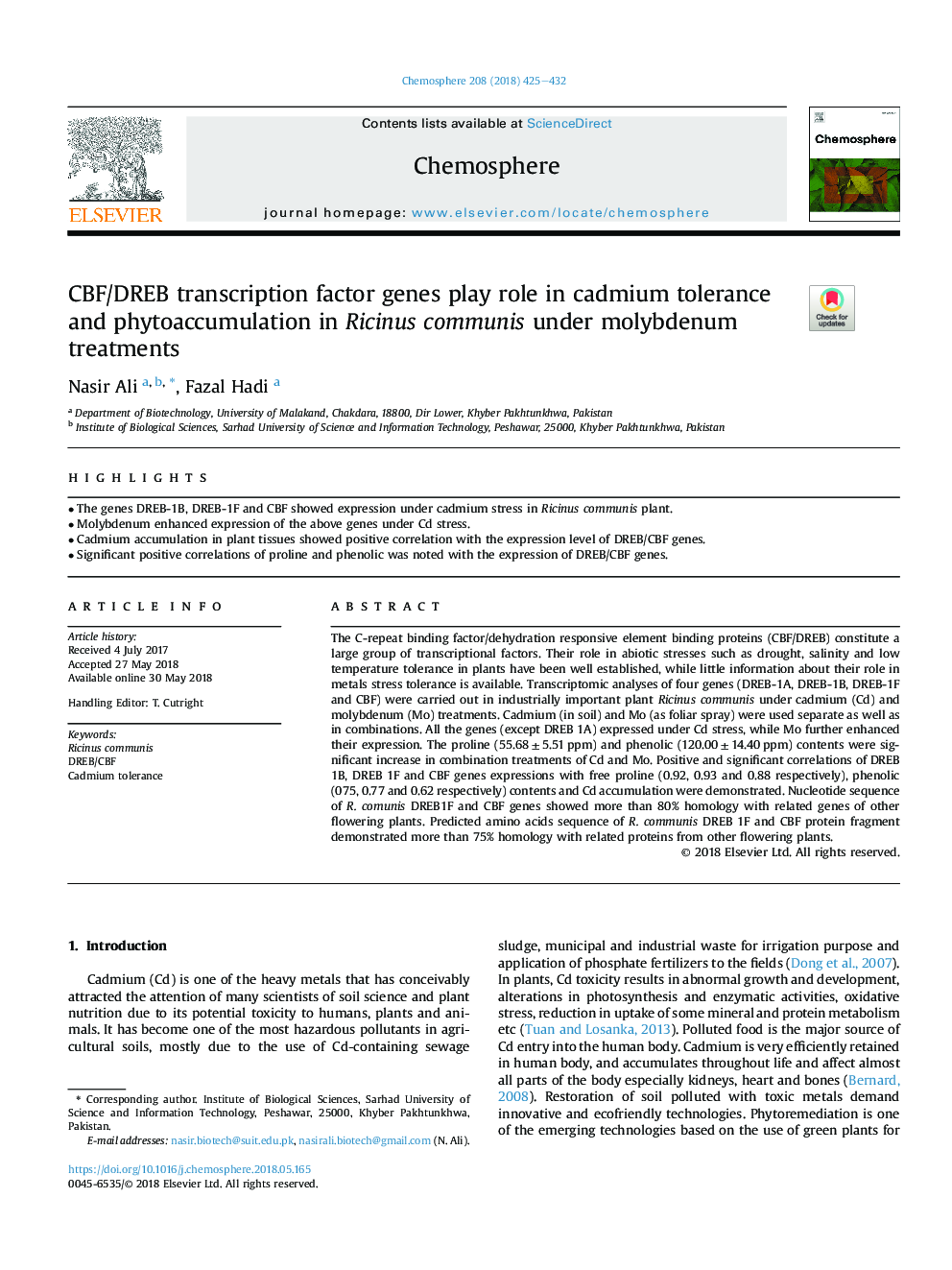 CBF/DREB transcription factor genes play role in cadmium tolerance and phytoaccumulation in Ricinus communis under molybdenum treatments